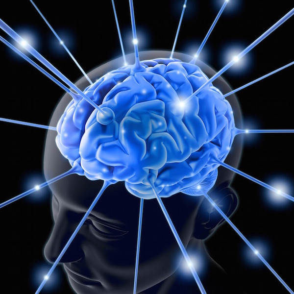 Sematikus rajz, az emberi agy kék színnel kiemelve, melybe áramlanak kék csatornákon a tápanyagok.