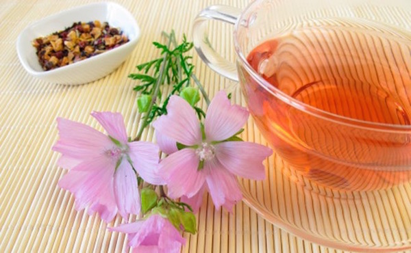 Orvosi ziliz gyökeréből készült tea gyomornyálkahártya-gyulladásra. A csésze mellett a gyógynövény virága és az aprított gyökere is.