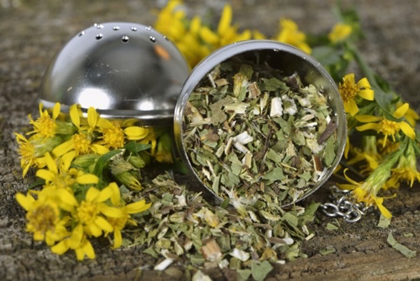 Teatojásban szárított aranyvessző (Solidago virgaurea), mellette a friss gyógynövény sárga virágai.
