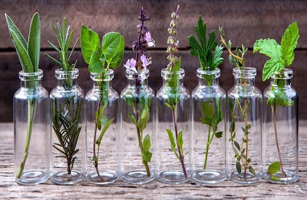 Különféle gyógynövények hosszú üvegcsékben, melyeket be lehet vetni lábduzzanat ellen.