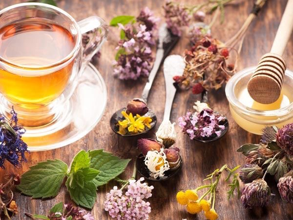 Friss gyógynövények, mellettük gyógyító tea, méz.