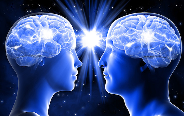 Női és férfi agya egymáshoz hasonlítva.