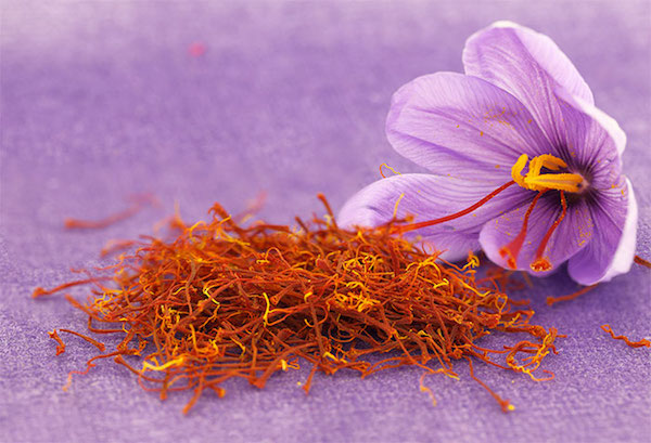 Crocus sativus lila virága a 3 draba bibeszállal, mellette rengeteg bibeszál, a sáfrány alapanyaga.