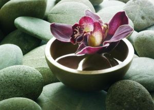 Zöld köveken, vízzel teli fatálkában látható orchidea virága.
