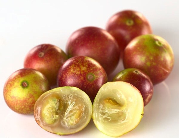 Camu camu, a rengeteg C-vitamint tartalmazó gyümölcs, a kép előterében egy kettévágott példány.