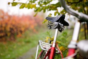 Régi piros kerékpár egy fa alatt, háttérben őszi táj.