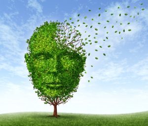 Emberi fejet ábrázoló fa, ahol a levelek egy része elszáll az agy területéről. A kép a demenciára utal.