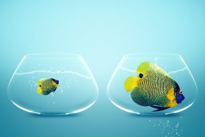 Két egyforma üvegedényben ugyanolyan színes hal úszik, de az egyik háromszor nagyobb a másiknál.