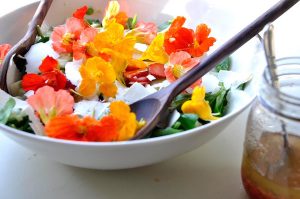 Különleges saláta zöld növényekből, eperből és kerti sarkantyúka színes virágaiból.