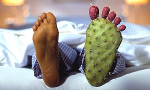 A paplan alól egy pizsamába bújtatott lábfej lóg ki, a másik láb helyén egy talp formájú kaktusz van.