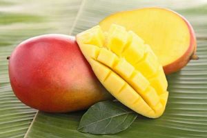 Két mangó egymás mellett, az egyikből egy vastag szelet levágva, felkockázva.