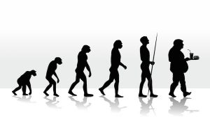 Emberi evolúció.