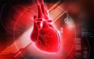 Emberi szívet ábrázoló kép piros háttérben, színes ábrákkal.