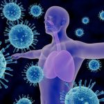 Mi tesz jót az immunrendszernek?
