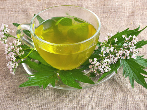 a zöld tea előnyei a magas vérnyomás ellen