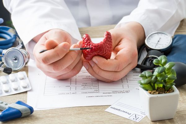 Egy orvos az asztalánál ül, kezében egy műanyag pajzsmirigyet tart, mellette fonendoszkóp, gyógyszerek és virág.