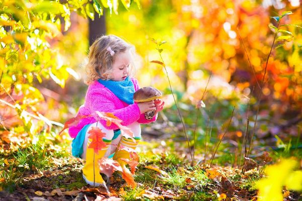 Egy őszi erdőben egy óvodás kislány egy nagy gombát tart a kezében.