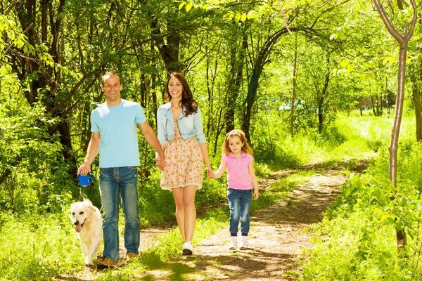 Egy erdőben egy család sétál, apa, anya a kislányukkal és a kutyájukkal.