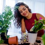 A szobanövények hasznosak és nagyon egészségesek