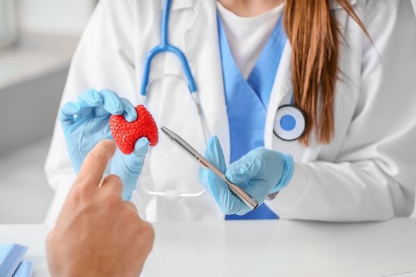 Egy fehér köpenyes orvos egy piros műanyag imitált pajzsmirigyet tart a kezében.