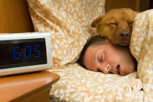 Férfi oldalt fekve, nyitott szájjal alszik az ágyban egy kutyával, mellette az éjjeliszekrényen digitális ébresztőóra.