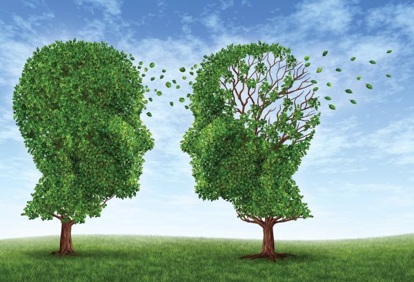 Két emberi fej formájú lombkoronájú fa egymással szemben, az egyik "agya" helyéről sok levelet lefújt a szél.