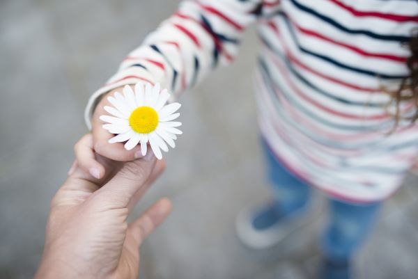 Kislány egy virágot nyújt át egy felnőtt kezébe.