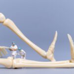 Óriási ülő emberi csontvázat vizsgálnak miniatűr orvosok.