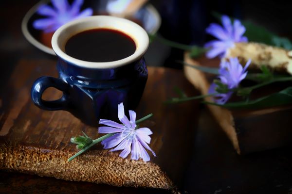 Kék csészében kávé, mellette cikóriavirág.