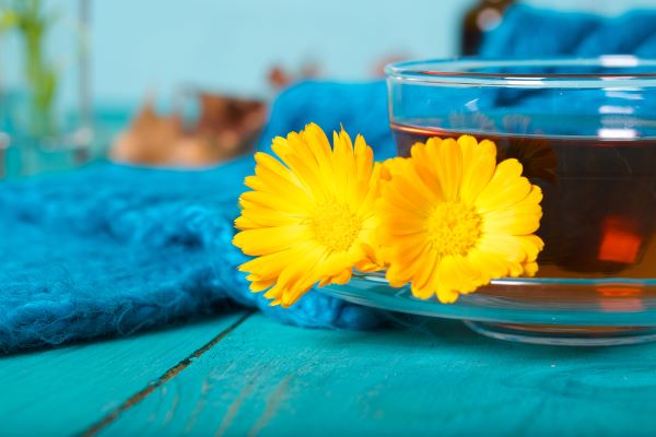 Kék faasztalon üvegcsészében tea, mellette két körömvirág.