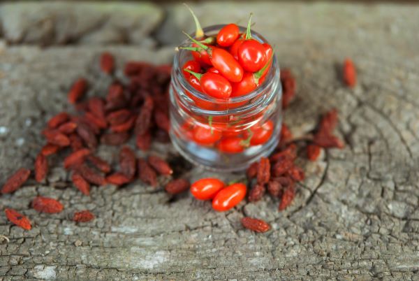 Kis üvegben friss goji bogyók, mellette szárított goji bogyók.