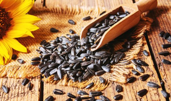 Rusztikus faasztalon napraforgómag és fakanál, mellette napraforgóvirág.