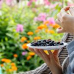 Nő egy tányérból fekete ribizlit eszik, háttérben virágoskert.