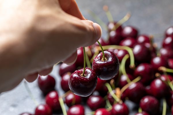 Valaki a kezében tart egy cseresznyepárt, alatta egy kupac cseresznye.