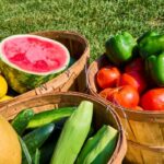Fűben három fakosárban nyári zöldségek és gyümölcsök: paradicsom, paprika, cukkini, uborka, kukorica, görögdinnye, sárgadinnye.