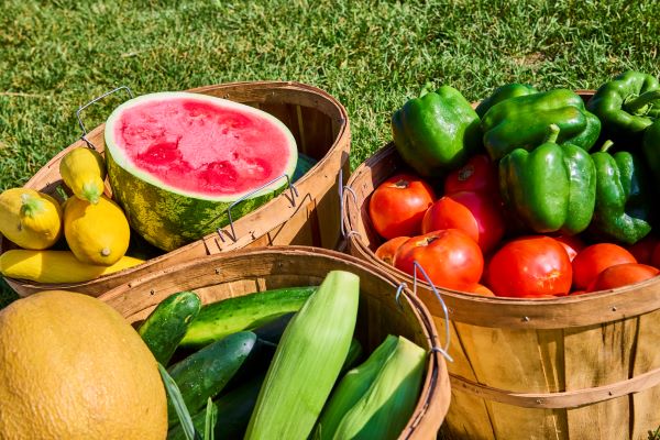 Fűben három fakosárban nyári zöldségek és gyümölcsök: paradicsom, paprika, cukkini, uborka, kukorica, görögdinnye, sárgadinnye.