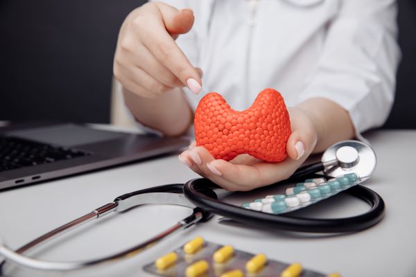 Doktornő egy pajzsmirigy modelljét tartja a kezében, előtte az asztalon sztetoszkóp és kapszulák.