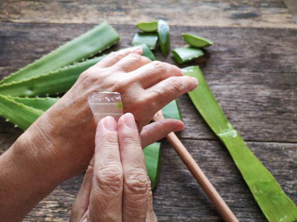 Idősebb nő Aloe vera gélt tesz az egyik kézfejére egy rusztikus faasztal fölött, amelyen Aloe vera levelek hevernek.